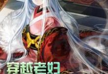 主角满星卫承宽卫承启方荷小说完结版在线阅读,穿越老妇:我累了,求躺平!免费看-干果文学