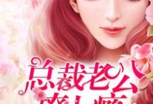 小说《婚宠入骨:总裁老公撩上瘾》在线章节阅读-干果文学
