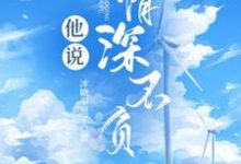 小说《他说情深不负》章节免费阅读-干果文学