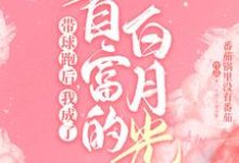 顾寒迟时吟为主角的小说好看吗?免费读霸总歇歇吧,夫人都走三年了-干果文学