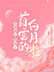 顾寒迟时吟为主角的小说好看吗？免费读霸总歇歇吧，夫人都走三年了