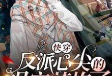 完结版《快穿:反派心尖的祖宗苏炸了》在线免费阅读-干果文学