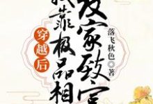 完结版《穿越后,我靠极品相公发家致富》章节阅读-干果文学
