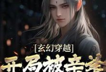 主人公叫王斩的小说哪里免费看-干果文学