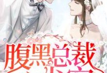 腹黑总裁心尖宠小说的免费电子版在哪里可以下载或阅读?-干果文学