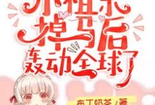 主角夏果儿霍凌夜小说完结版在线阅读,霍爷的小祖宗掉马后轰动全球了!免费看-干果文学