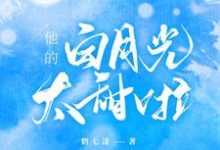求时晚段泽轩小说免费资源-干果文学