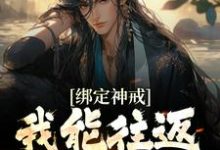 赵坤乾李灵婉是哪本书的主角?寻找绑定神戒,我能往返低武各朝免费阅读-干果文学