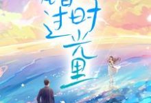 错过时光里南瑜顾璟,错过时光里小说免费阅读-干果文学