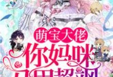《萌宝大佬,你妈咪马甲超飒》小说大结局免费试读 梁浅秦九墨梁乐小说-干果文学