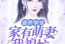 求推荐可以免费阅读盛世挚宠:家有萌妻我很忙小说的网站-干果文学