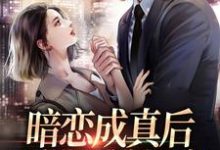 暗恋成真后,我被男神爆宠免费阅读,暗恋成真后,我被男神爆宠许锦云舒衍-干果文学