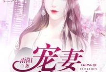 宠妻要离婚这本小说怎么样?免费在线阅读试试-干果文学