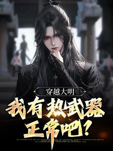 穿越大明，我有热武器正常吧？朱由校朱由检小说免费阅读