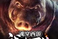男女主人公叫卞庄的小说免费资源-干果文学