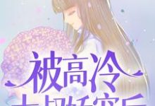 主角 宋问盏商则寒小说被高冷大叔娇宠后,我真香了免费阅读-干果文学