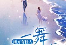 小说《南方有佳人,一舞倾人城》章节免费阅读-干果文学