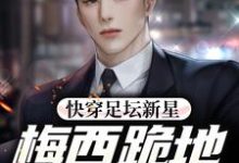 快穿足坛新星,梅西跪地求放过小说完结版章节免费阅读-干果文学