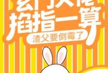 完结版《玄门大佬掐指一算,渣父要倒霉了》章节阅读-干果文学