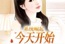 已完结小说《系统崛起:今天开始,香江我说了算》在线章节阅读-干果文学