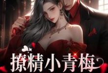撩精小青梅:竹马队长超宠这本小说在哪里可以看?哪里有免费试读章节?-干果文学