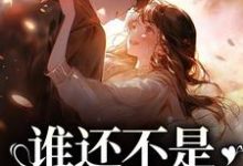 丁梨程北归的完整故事在哪里?读谁还不是开飞机的了小说-干果文学