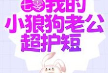 已完结小说《七零:我的小狼狗老公超护短》在线章节阅读-干果文学