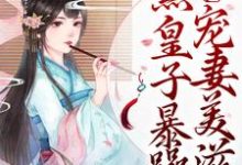 庶女崛起!腹黑皇子暴躁宠妻美滋滋小说的免费电子版在哪里可以下载或阅读?-干果文学