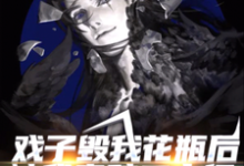 寻找能够免费阅读戏子毁我花瓶后,被我索赔二十亿小说的平台-干果文学