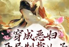 免费看穿成恶妇,开局制裁儿子小说的网站有哪些?-干果文学