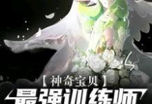 寻找神奇宝贝:最强训练师之路小说的最新更新章节-干果文学