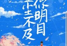 哪里可以免费读到夏满陆明庭的完整故事?寻找星尘不及你明目-干果文学