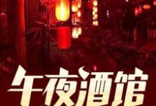 风正苏胡衣衣是哪本书的主角？寻找午夜酒馆免费阅读-干果文学