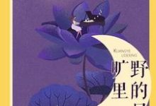 想读安夷沈韫安夏沈旭东的故事,哪里可以免费找到旷野里的星?-干果文学