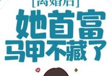 在线寻找离婚后,她首富马甲不藏了小说的无删减版本-干果文学