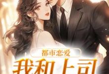主人公叫宋谨言苏念念的小说哪里免费看-干果文学