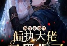 主角叫梨久小说快穿小撩精:偏执大佬又黑化了章节免费阅读-干果文学