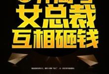 免费在线阅读重返都市:开局与女总裁互相砸钱小说的正规网站有哪些?-干果文学