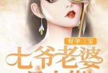 免费阅读苏悦溪叶君御林玉为主角的小说,好孕三宝:七爷老婆是大佬在线看-干果文学