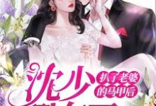 顾暖卿沈煜庭的故事在哪本书里?免费阅读扒了老婆的马甲后,沈少翻车了-干果文学