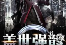 《盖世强龙》小说大结局免费试读 沈云锋小说-干果文学