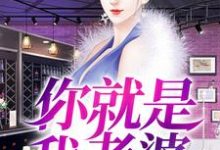 你就是我老婆小说的免费阅读版本在哪里可以找到?-干果文学