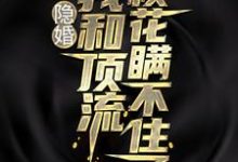 主人公叫叶天苏月灵的小说哪里免费看-干果文学