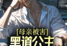 母亲被害,黑道公主扶我登高位最新章节,母亲被害,黑道公主扶我登高位章节在线阅读-干果文学