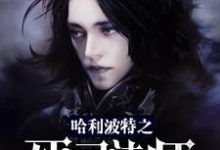 《哈利波特之死灵法师》小说主角雷古勒斯达芙妮赫敏莎拉章节章节免费在线阅读-干果文学