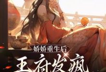 娇娇重生后,王府发疯当女强人小说,娇娇重生后,王府发疯当女强人 沈宁烟洛凌渊-干果文学
