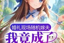 婚礼现场随机嫁夫,我竟成了总统夫人?小说阅读,婚礼现场随机嫁夫,我竟成了总统夫人?完结版-干果文学
