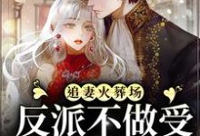 追妻火葬场:反派不做受气媳妇啦这本小说完结了吗?免费查看最新章节-干果文学
