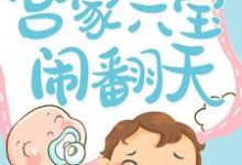 《宫家六宝闹翻天》全集免费在线阅读(冷惜月宫心逸司马蕙兰)-干果文学