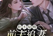 哪里能找到拒不复婚:前夫追妻杀疯了小说的最新更新和免费章节?-干果文学